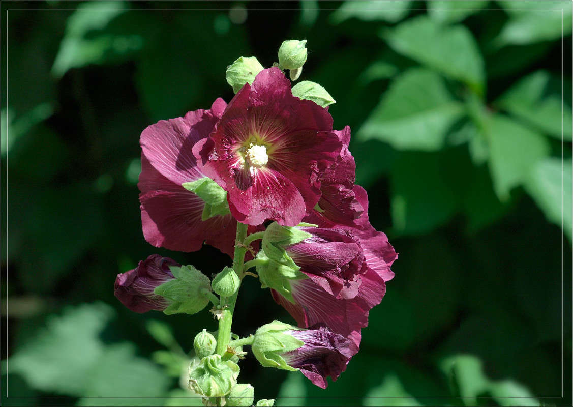 ������ 3 ����� ������  �� PhotoGeek.ru #������ ��� �������