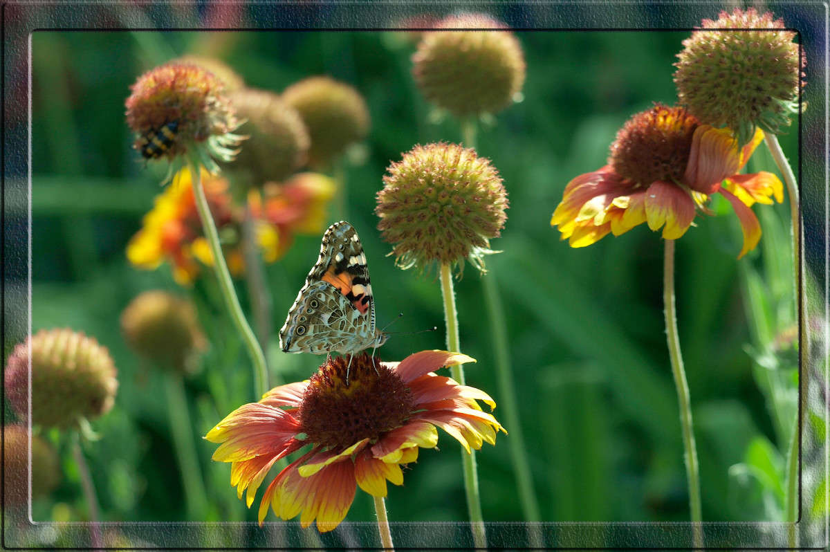 ������� �� ������ ����� ������  �� PhotoGeek.ru #�����