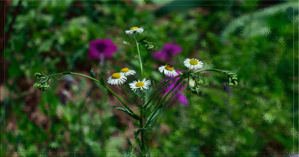 ������� � ������� � ����� ������  �� PhotoGeek.ru #������ ��� �������