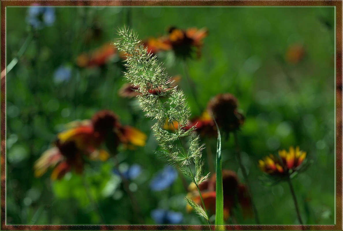 ��������� ����� ������  �� PhotoGeek.ru #������ ��� �������