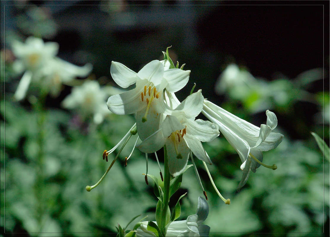 �������� ����� ������  �� PhotoGeek.ru #������ ��� �������