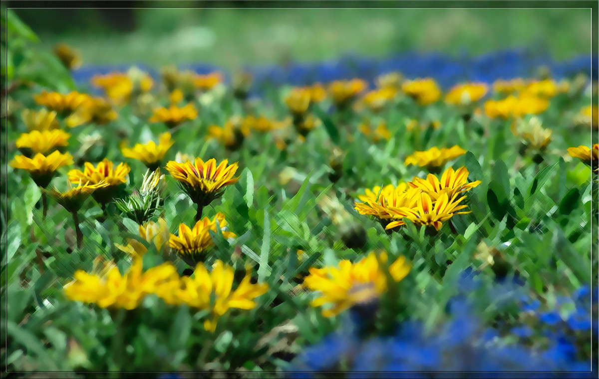 ���������� ����� ������  �� PhotoGeek.ru #������ ��� �������