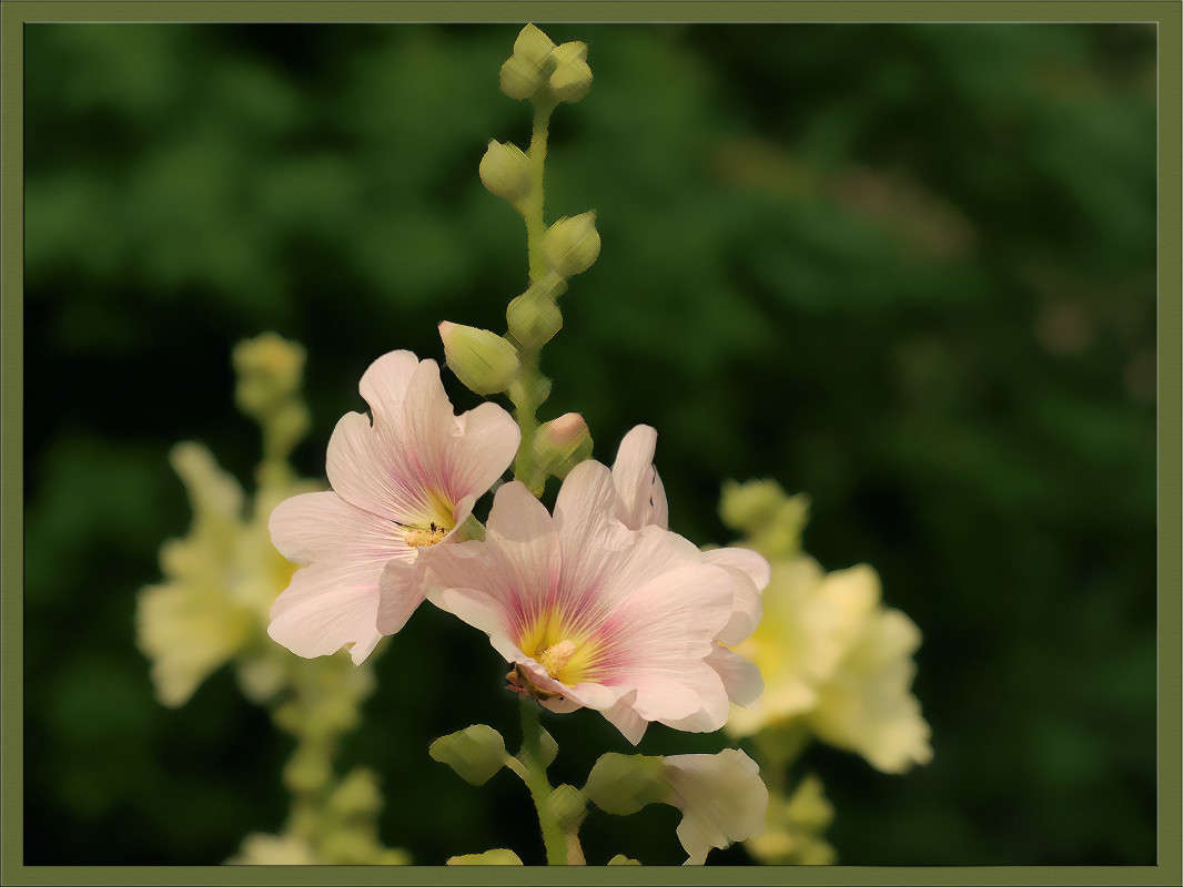 ������ 4 ����� ������  �� PhotoGeek.ru #������ ��� �������