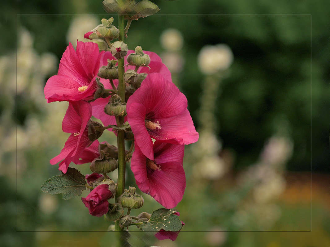 ������ 5 ����� ������  �� PhotoGeek.ru #������ ��� �������