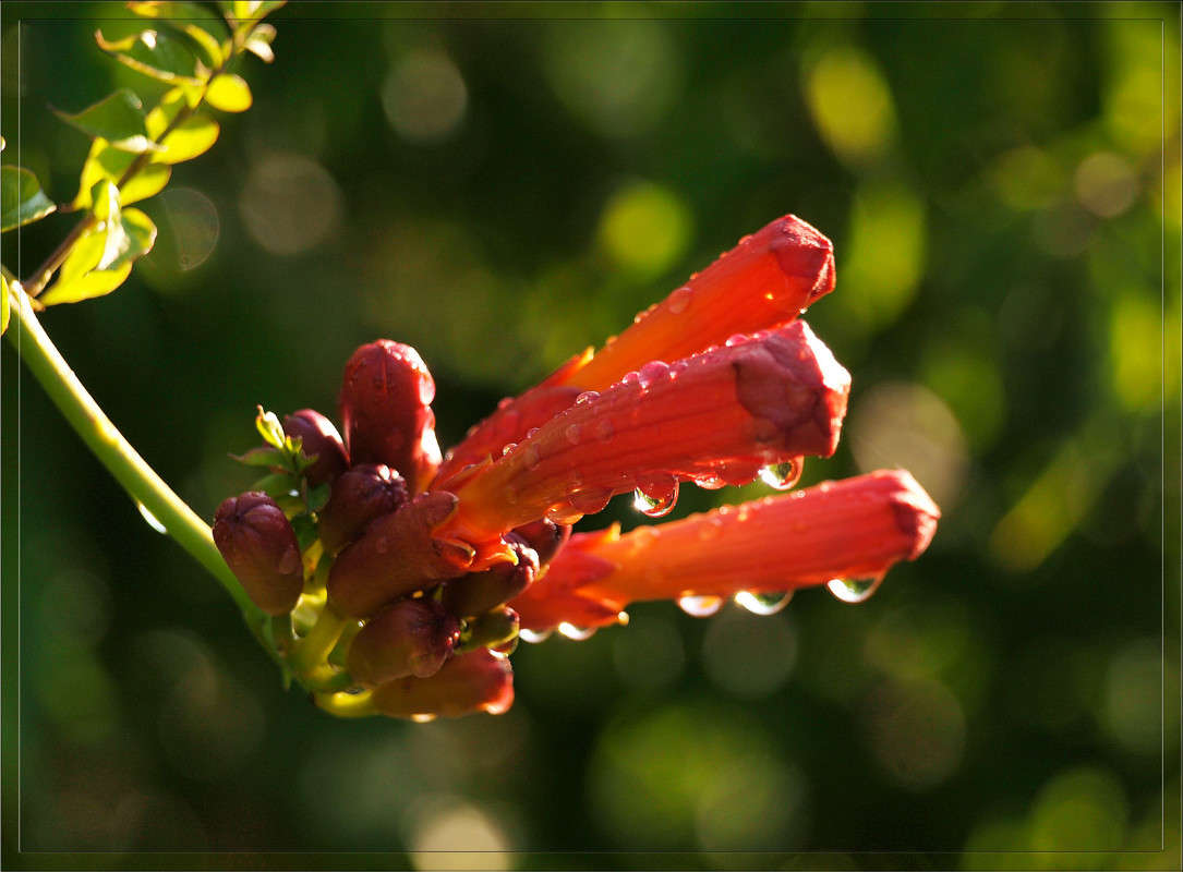 ���� ����� ����� ����� ������  �� PhotoGeek.ru #������ ��� �������