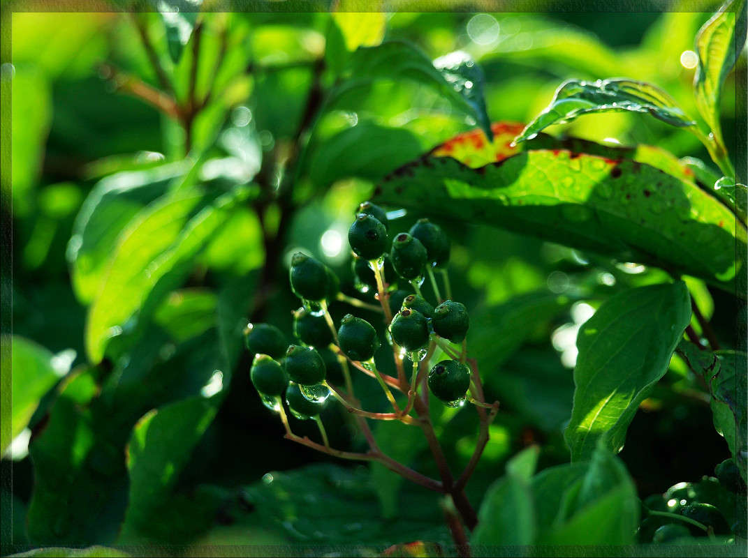 ���� ����� ����� 2 ����� ������  �� PhotoGeek.ru #������ ��� �������