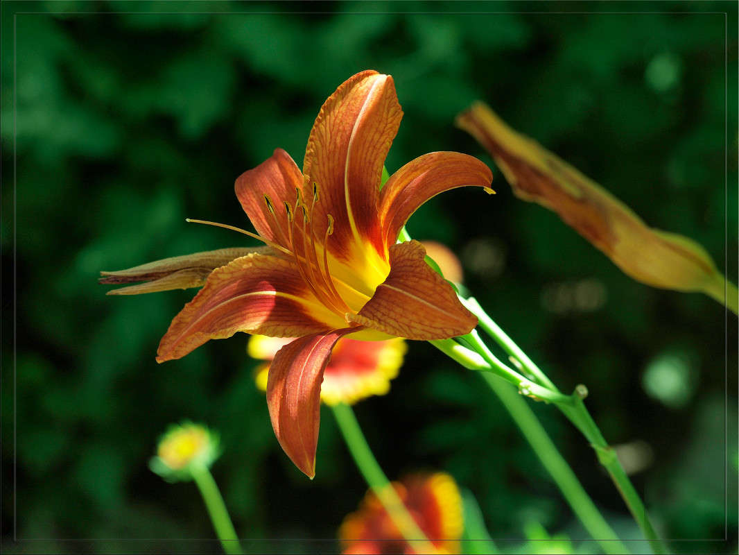 ��������� 2 ����� ������  �� PhotoGeek.ru #������ ��� �������