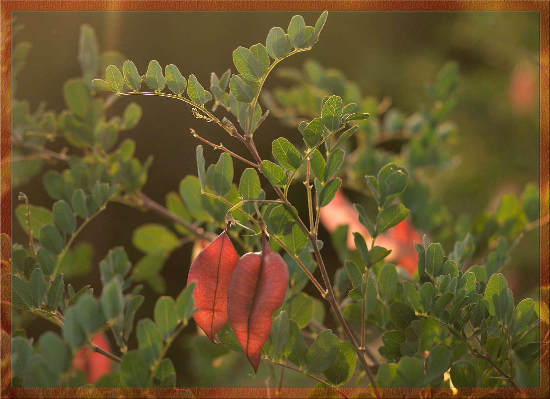 �������� ����� ������  �� PhotoGeek.ru #������ ��� �������