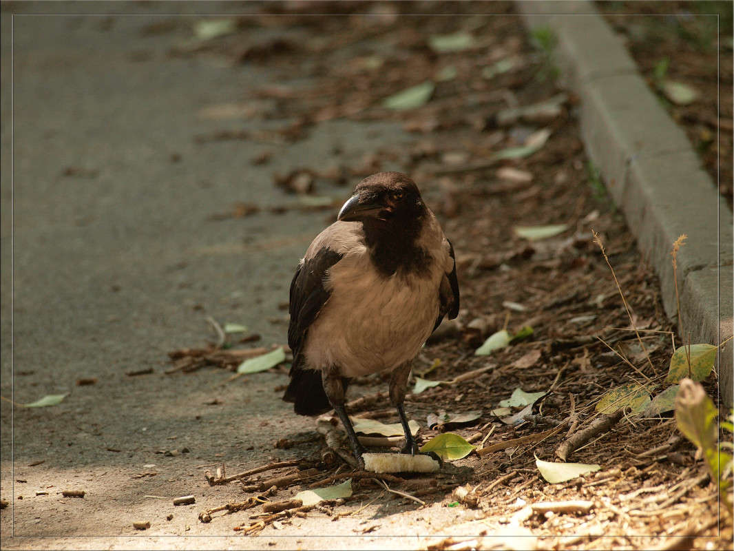 ��� ��� �������� ����� ������  �� PhotoGeek.ru #�������� ���