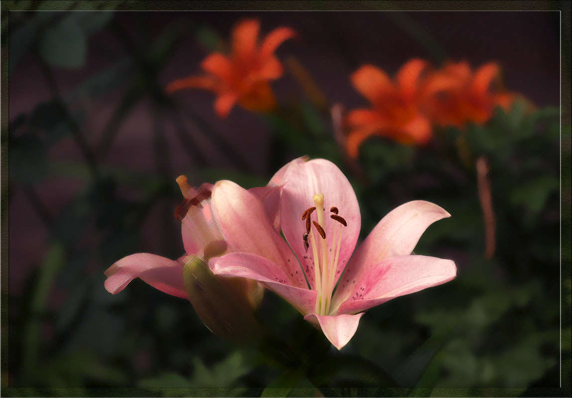 ��������� 3 ����� ������  �� PhotoGeek.ru #������ ��� �������