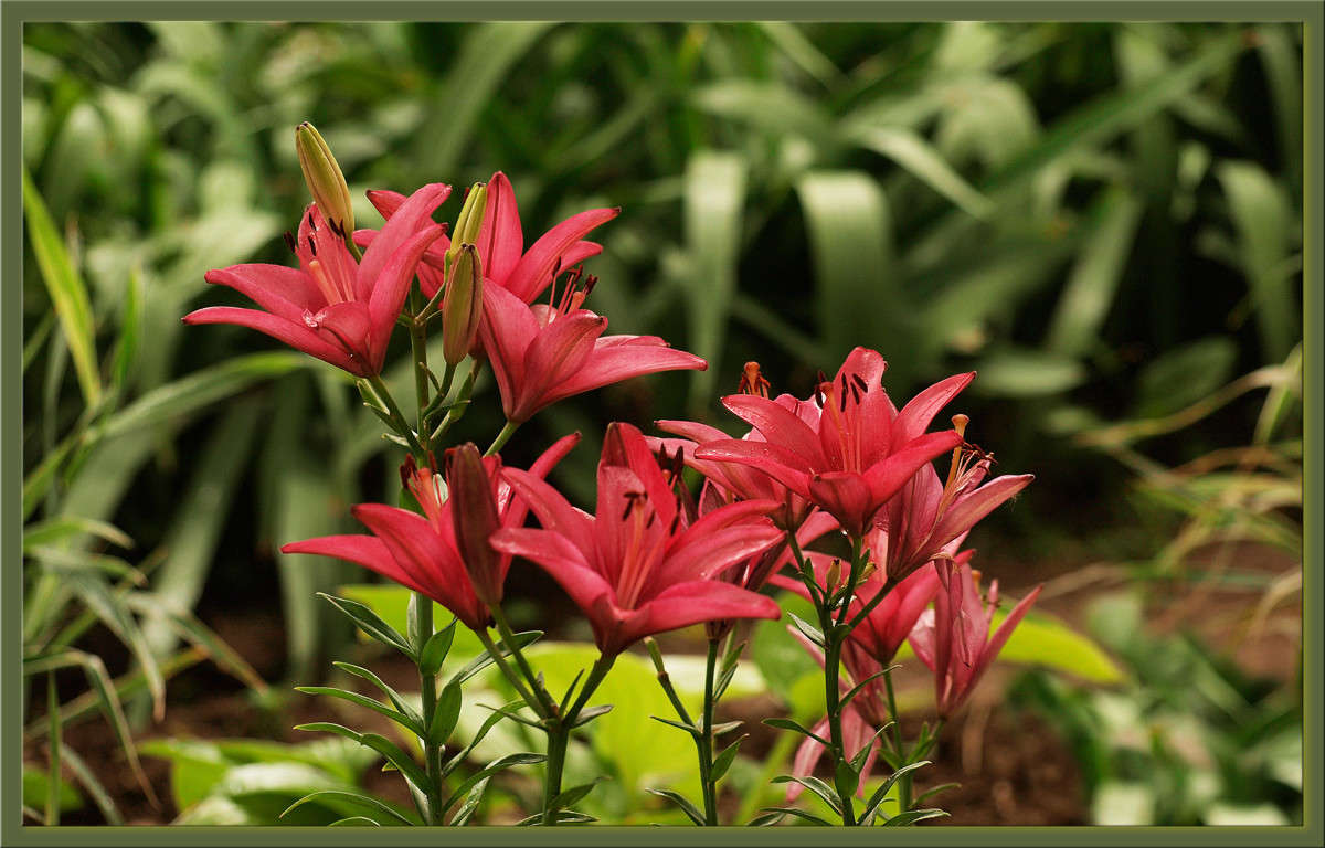 ��������� 4 ����� ������  �� PhotoGeek.ru #������ ��� �������