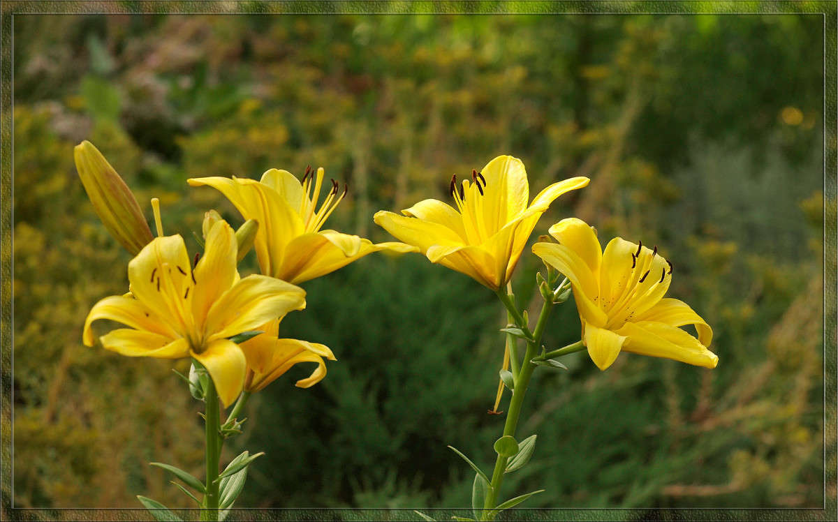 ��������  6 ����� ������  �� PhotoGeek.ru #������ ��� �������