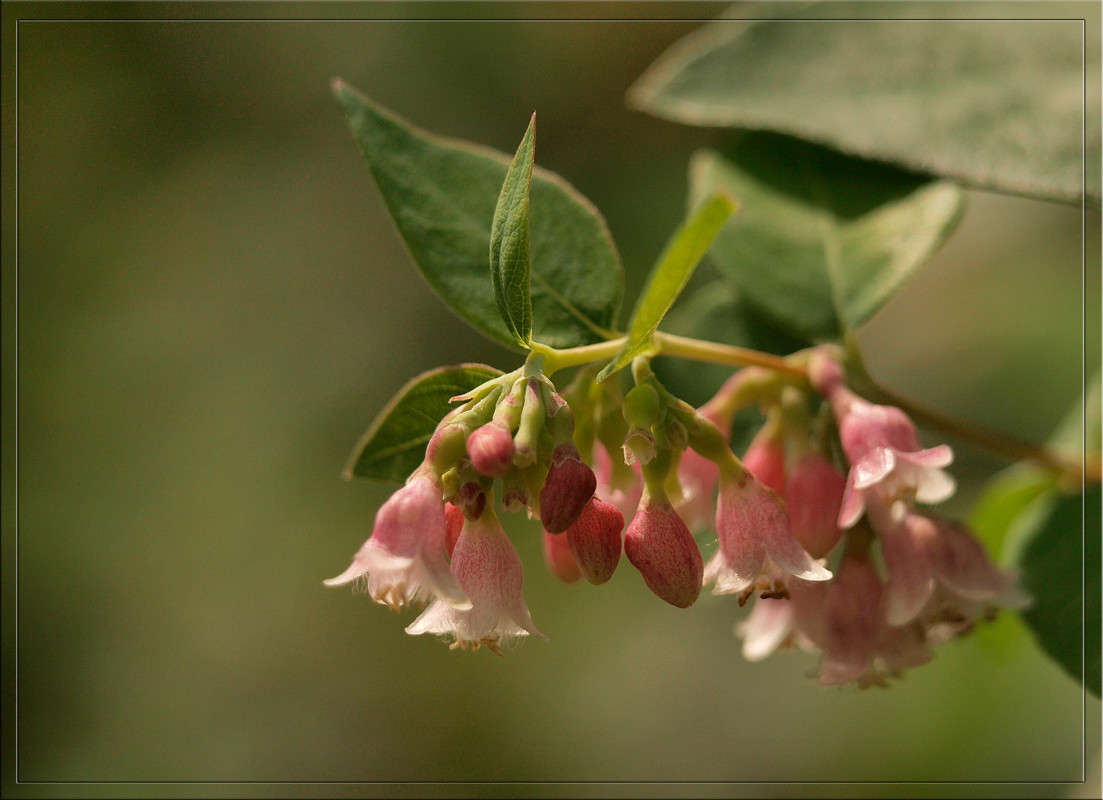 ������� ������������ ����� ������  �� PhotoGeek.ru #������ ��� �������