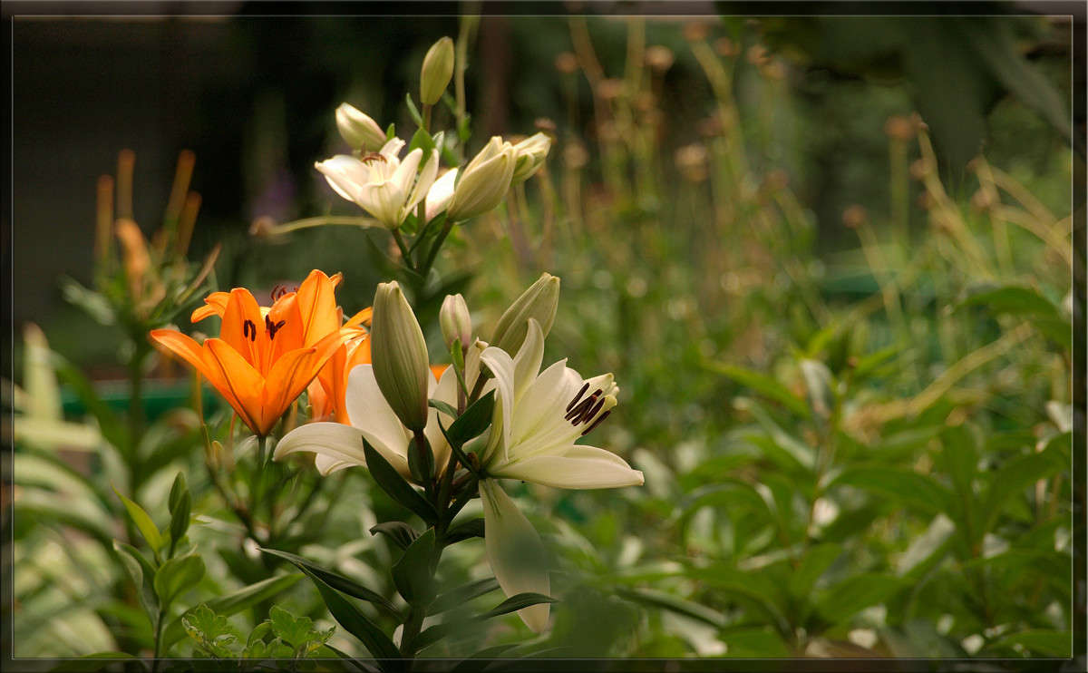 ��������  7 ����� ������  �� PhotoGeek.ru #������ ��� �������