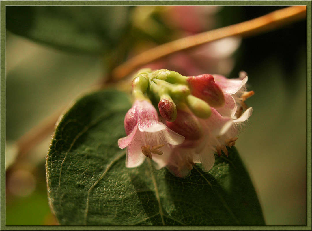 ������� ������������ 2 ����� ������  �� PhotoGeek.ru #������ ��� �������