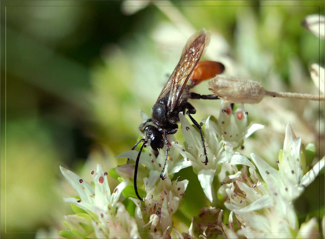 ��������� ����� ������  �� PhotoGeek.ru #�������� ���