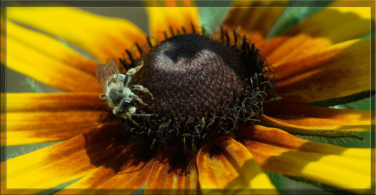 �� ����� ����� ������  �� PhotoGeek.ru #�����