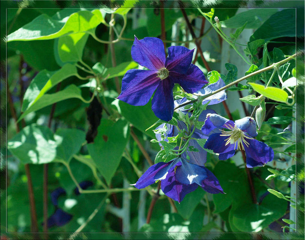 �������� ����� ������  �� PhotoGeek.ru #������ ��� �������