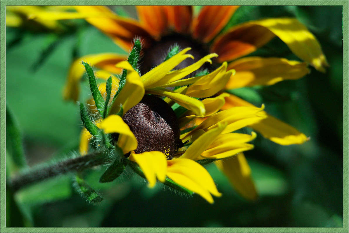 ����������� ����� ������  �� PhotoGeek.ru #������ ��� �������