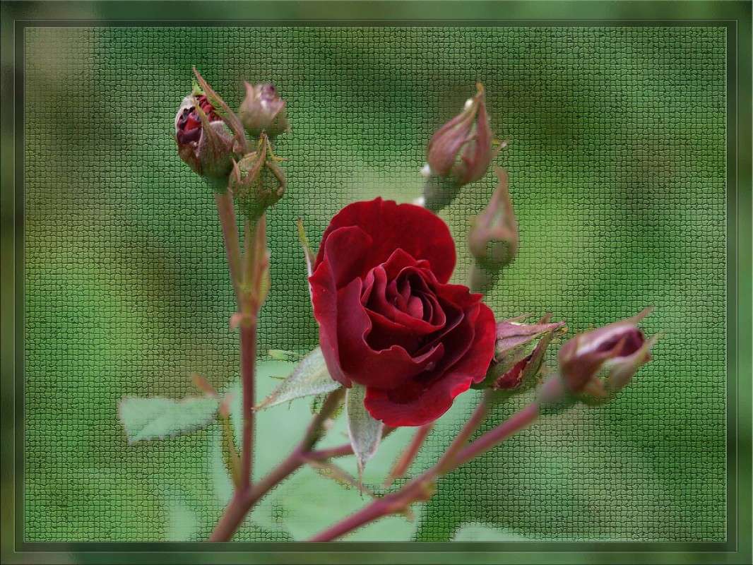 ������� ��������� ����� ������  �� PhotoGeek.ru #������ ��� �������