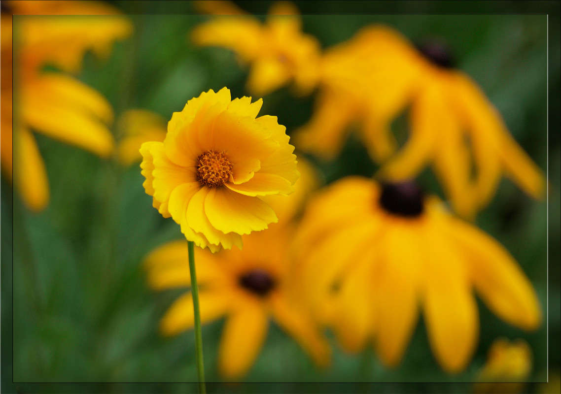 ������� ����� ������  �� PhotoGeek.ru #������ ��� �������