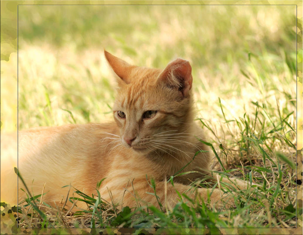 ������ ����� ������  �� PhotoGeek.ru #�������� ���