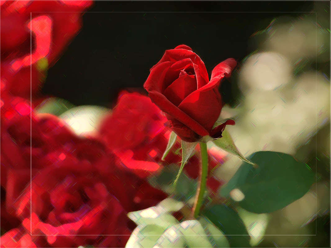 ������� � ����� 8 ����� ������  �� PhotoGeek.ru #������ ��� �������