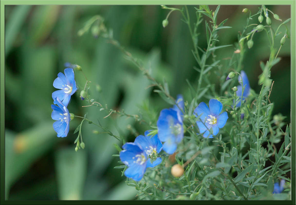 �� ��������� ���������� ����� ������  �� PhotoGeek.ru #������ ��� �������