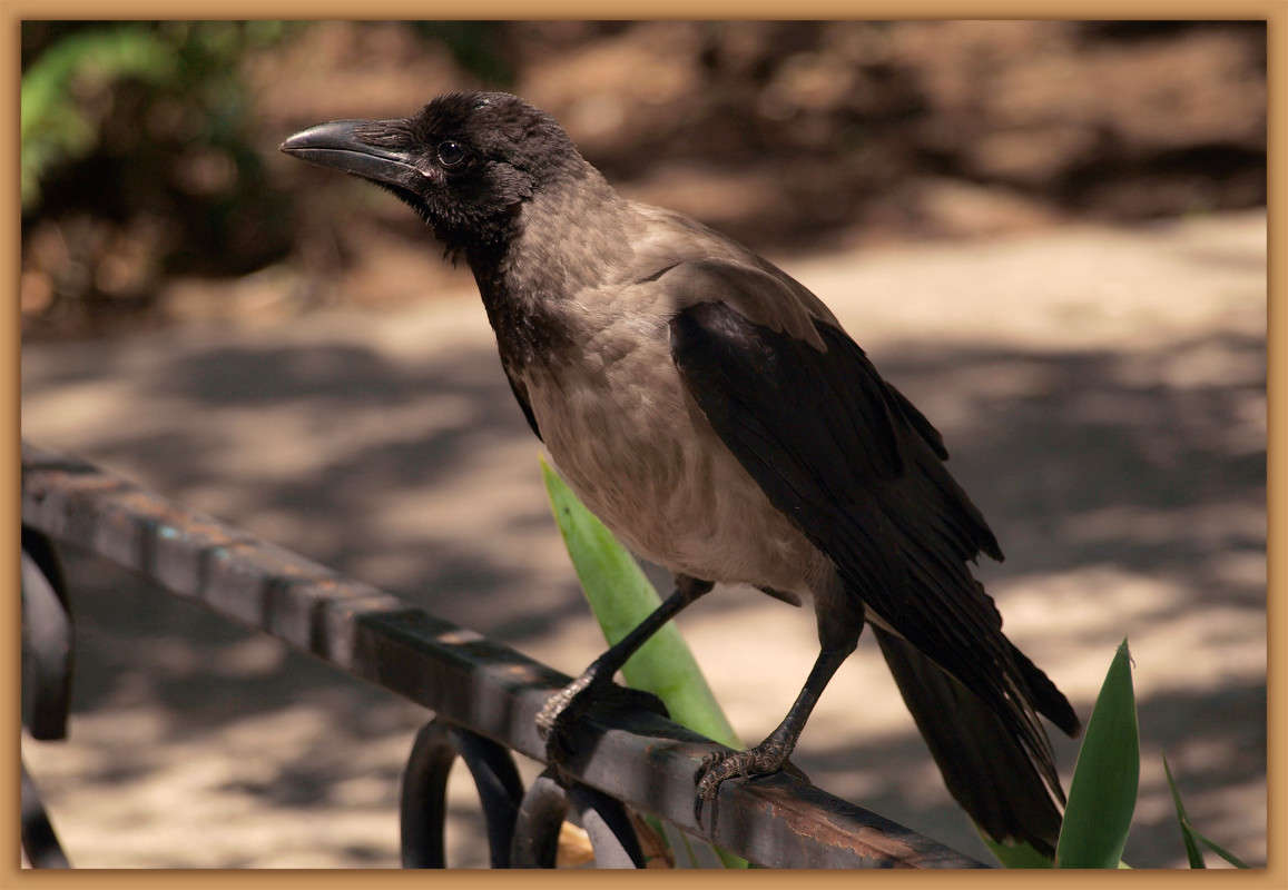 ����� �������� ����� ������  �� PhotoGeek.ru #�������� ���