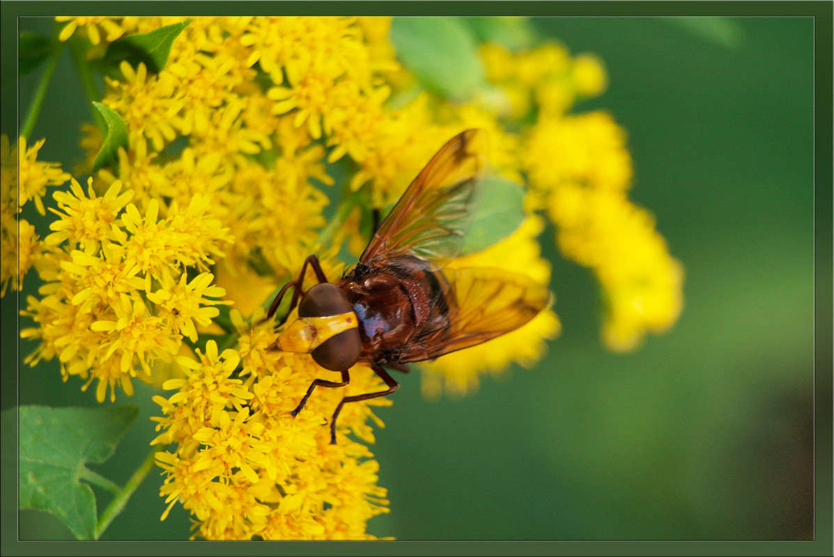 ������ ��� ����� ������  �� PhotoGeek.ru #�����