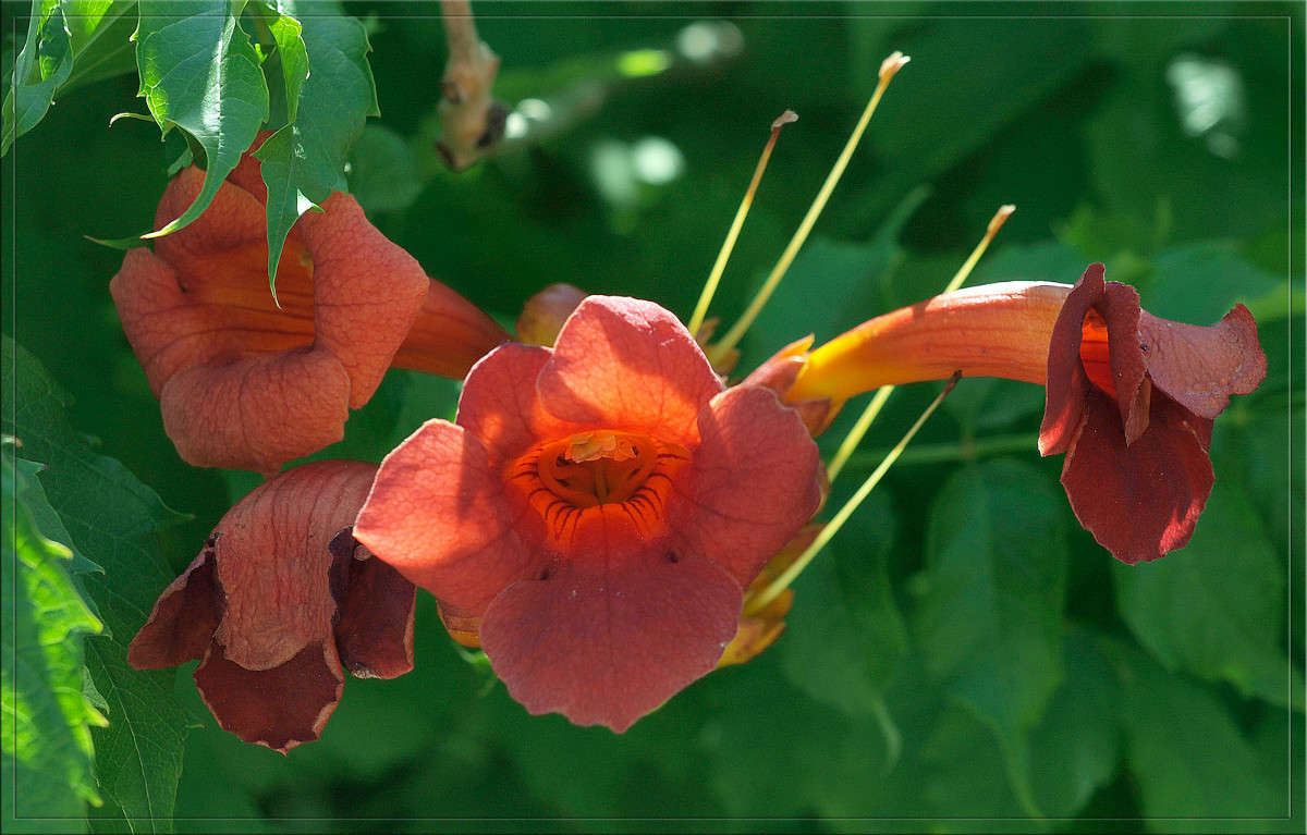 ��� ��� ������ ����� ������  �� PhotoGeek.ru #������ ��� �������