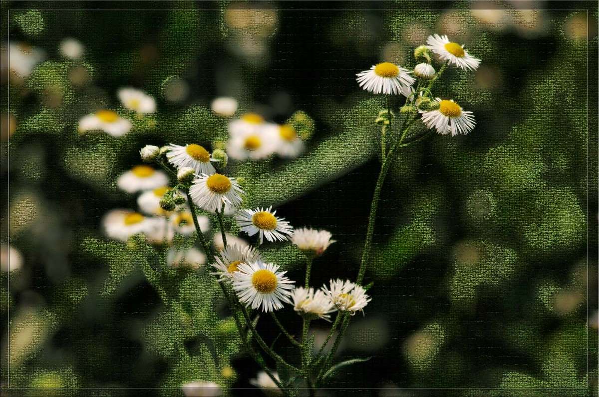 ���������� ������� ����� ������  �� PhotoGeek.ru #������ ��� �������