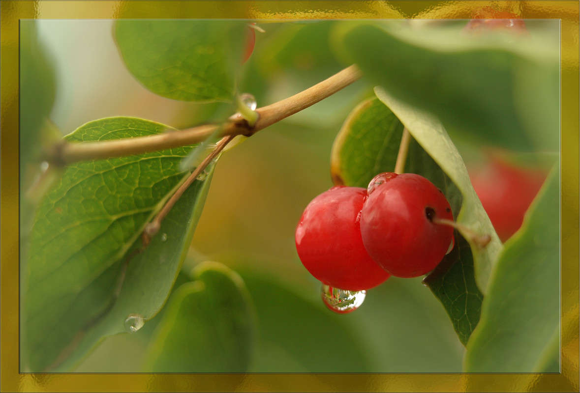 ����� �������� 2 ����� ������  �� PhotoGeek.ru #������ ��� �������