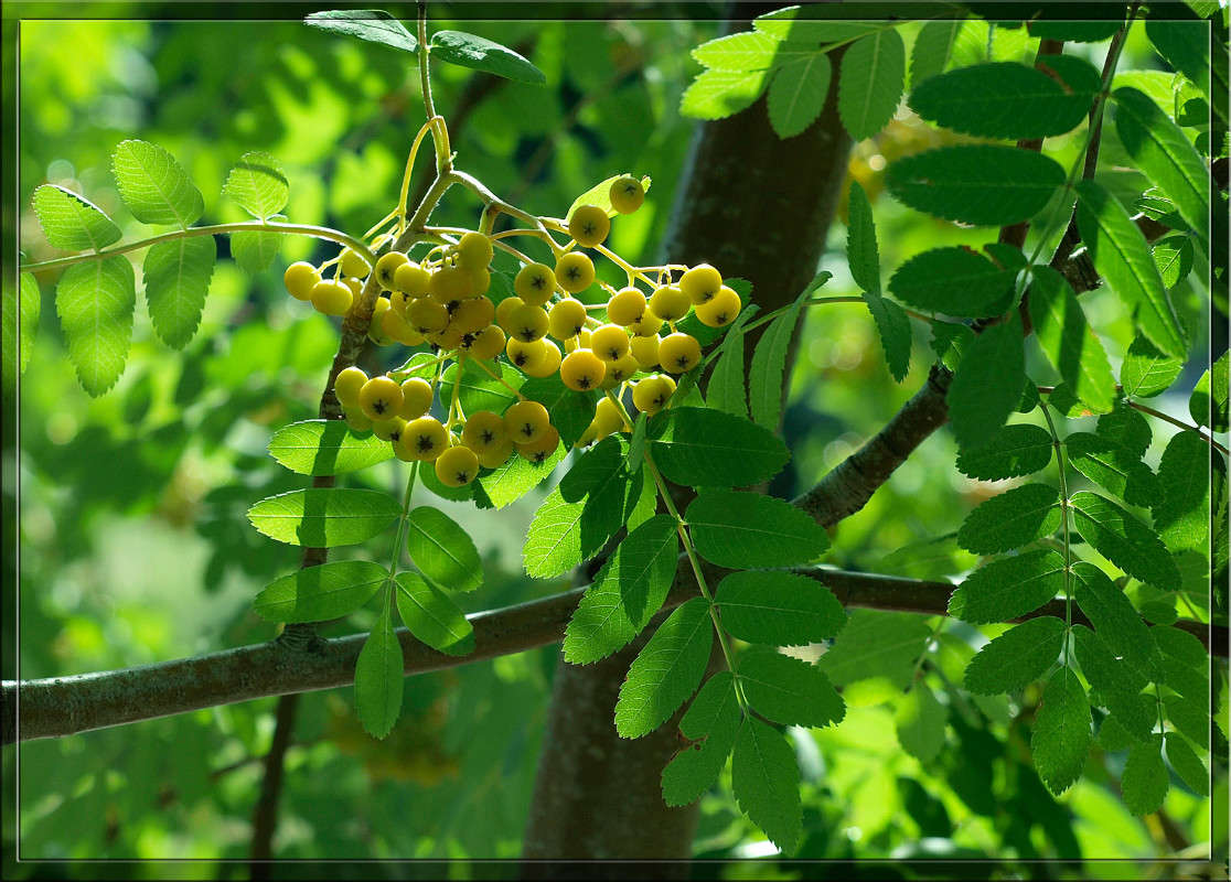 ��������� ����� ������  �� PhotoGeek.ru #������ ��� �������