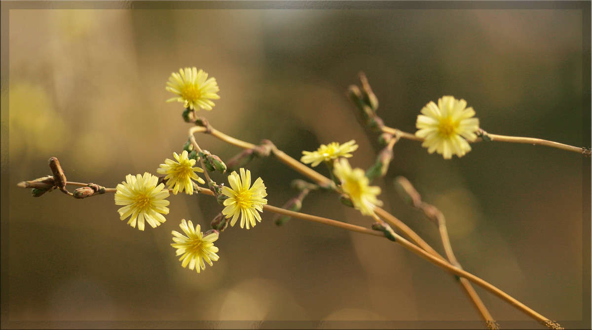 ������������ ����� ������  �� PhotoGeek.ru #������ ��� �������