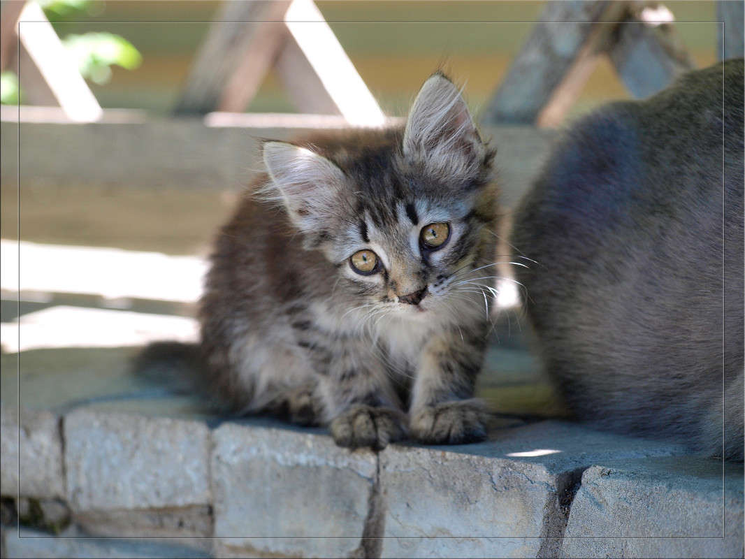 ��������� ������ ����� ������  �� PhotoGeek.ru #�������� ���