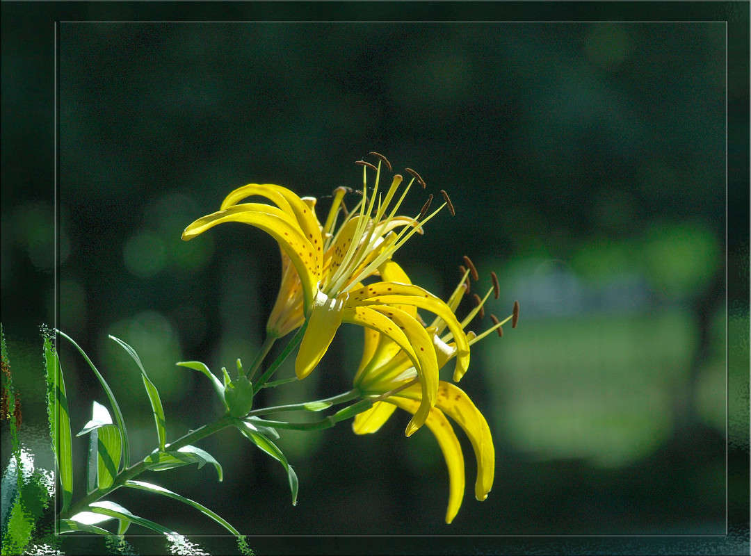 ��������  8 ����� ������  �� PhotoGeek.ru #������ ��� �������