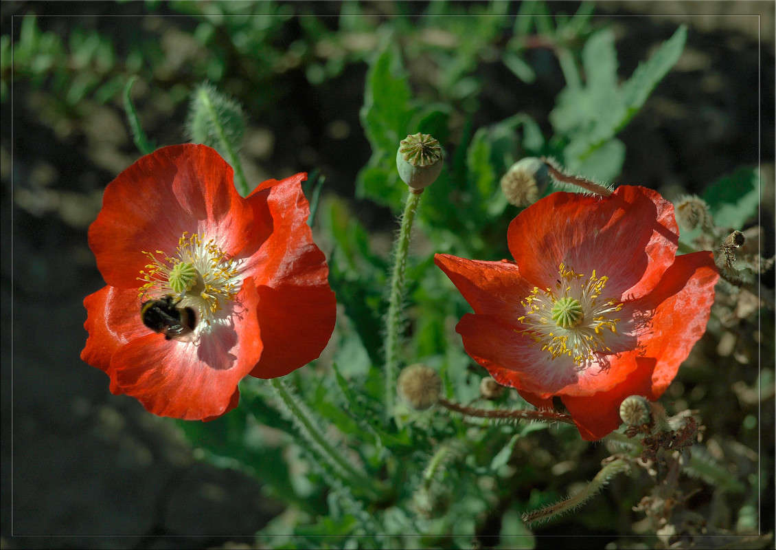 ���� �� ����� ����� ������  �� PhotoGeek.ru #������ ��� �������