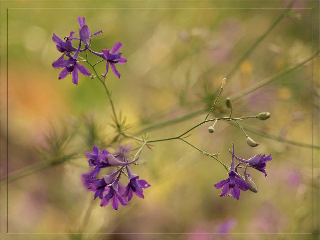 ������ �������� ����� ������  �� PhotoGeek.ru #������ ��� �������