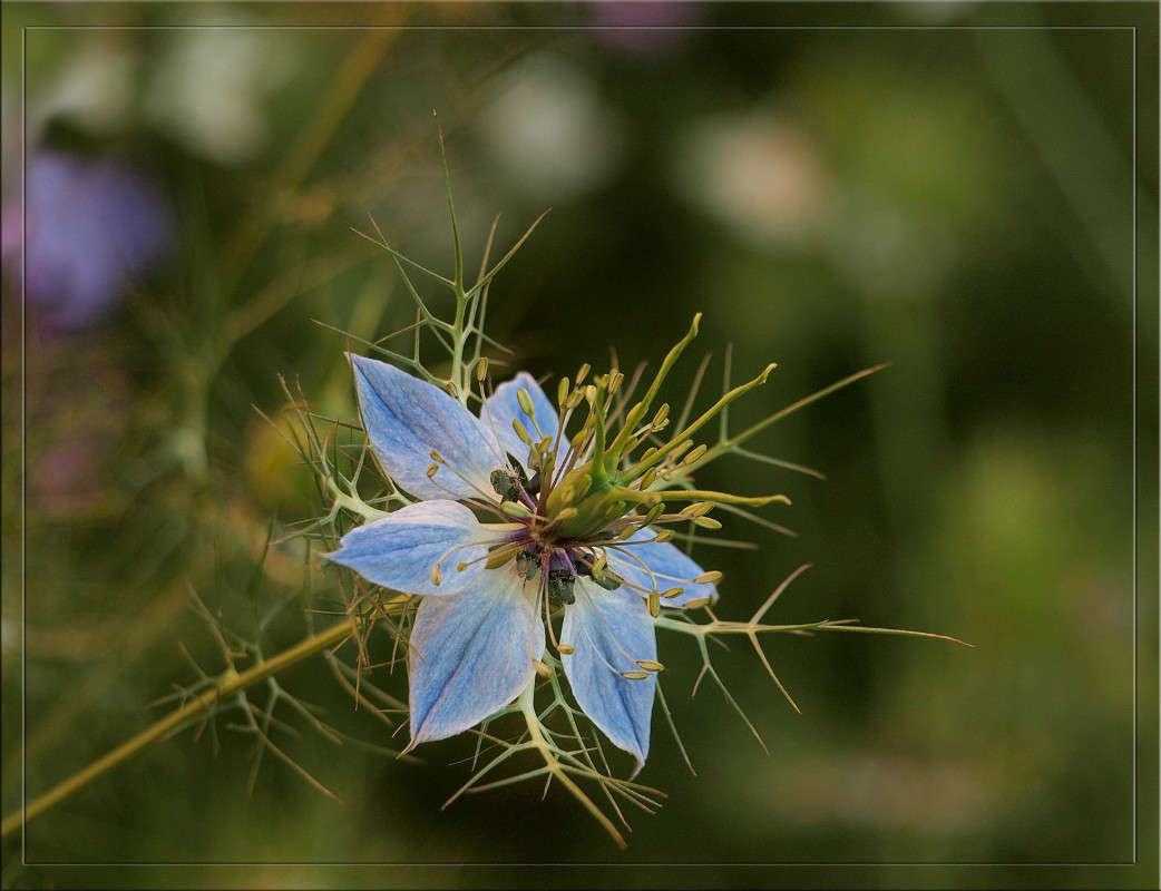 ������� �������� ����� ������  �� PhotoGeek.ru #������ ��� �������