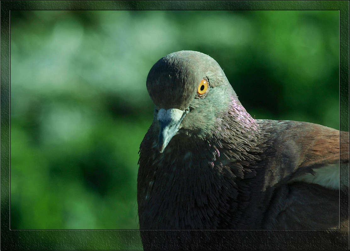 ����� ������ ����� ������  �� PhotoGeek.ru #�������� ���