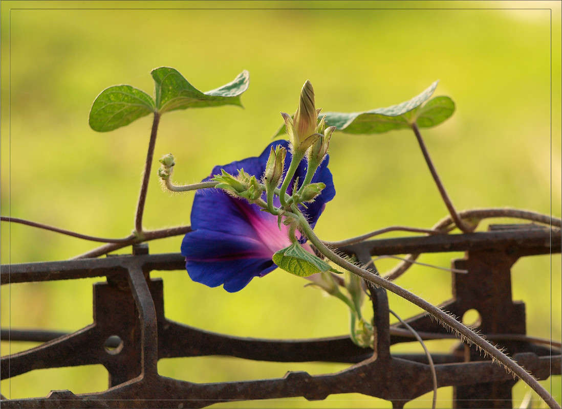 �� ������ ����� ������  �� PhotoGeek.ru #������ ��� �������