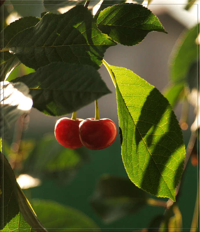 ������� ������� ����� ������  �� PhotoGeek.ru #������ ��� �������