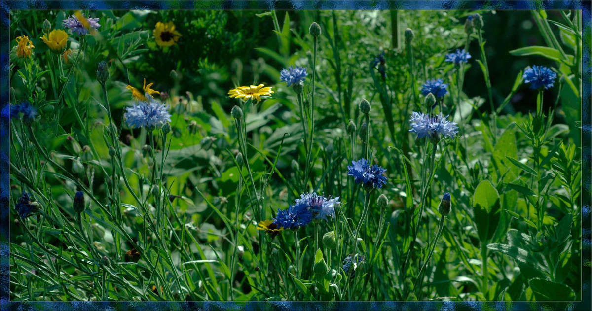 ����� �� ������� ����� ������  �� PhotoGeek.ru #������ ��� �������