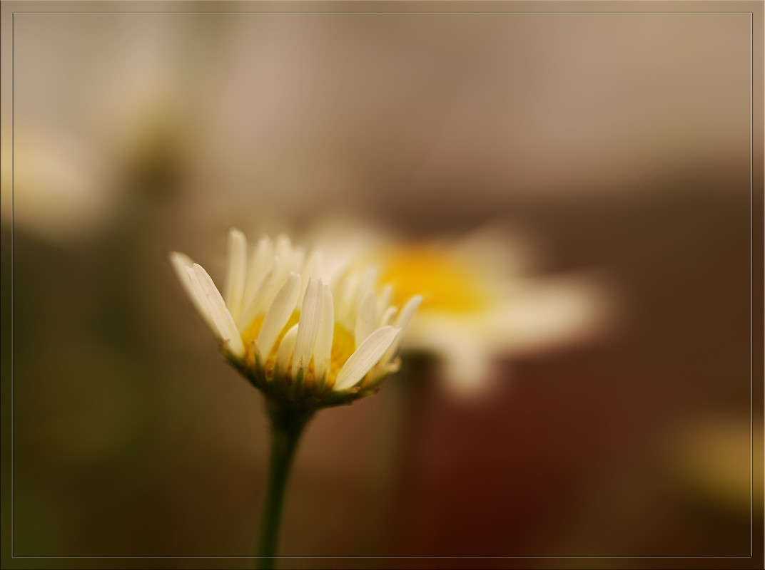 ��� �������� ����� ������  �� PhotoGeek.ru #������ ��� �������