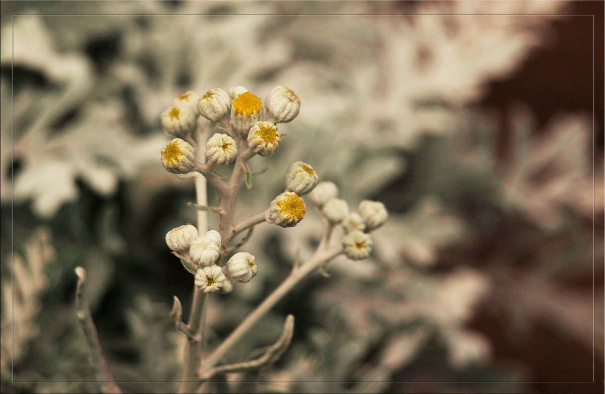 ��������� ������� ����� ������  �� PhotoGeek.ru #������ ��� �������