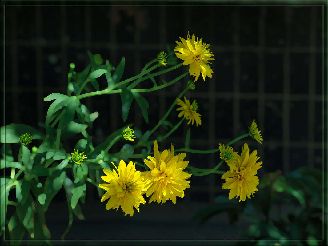 �������� ��� ������� ����� ������  �� PhotoGeek.ru #������ ��� �������