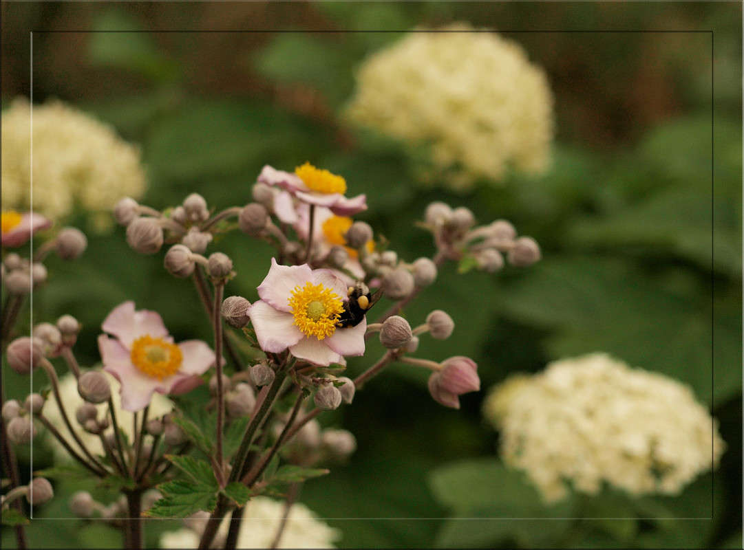 �������� ���� ����� ������  �� PhotoGeek.ru #������ ��� �������