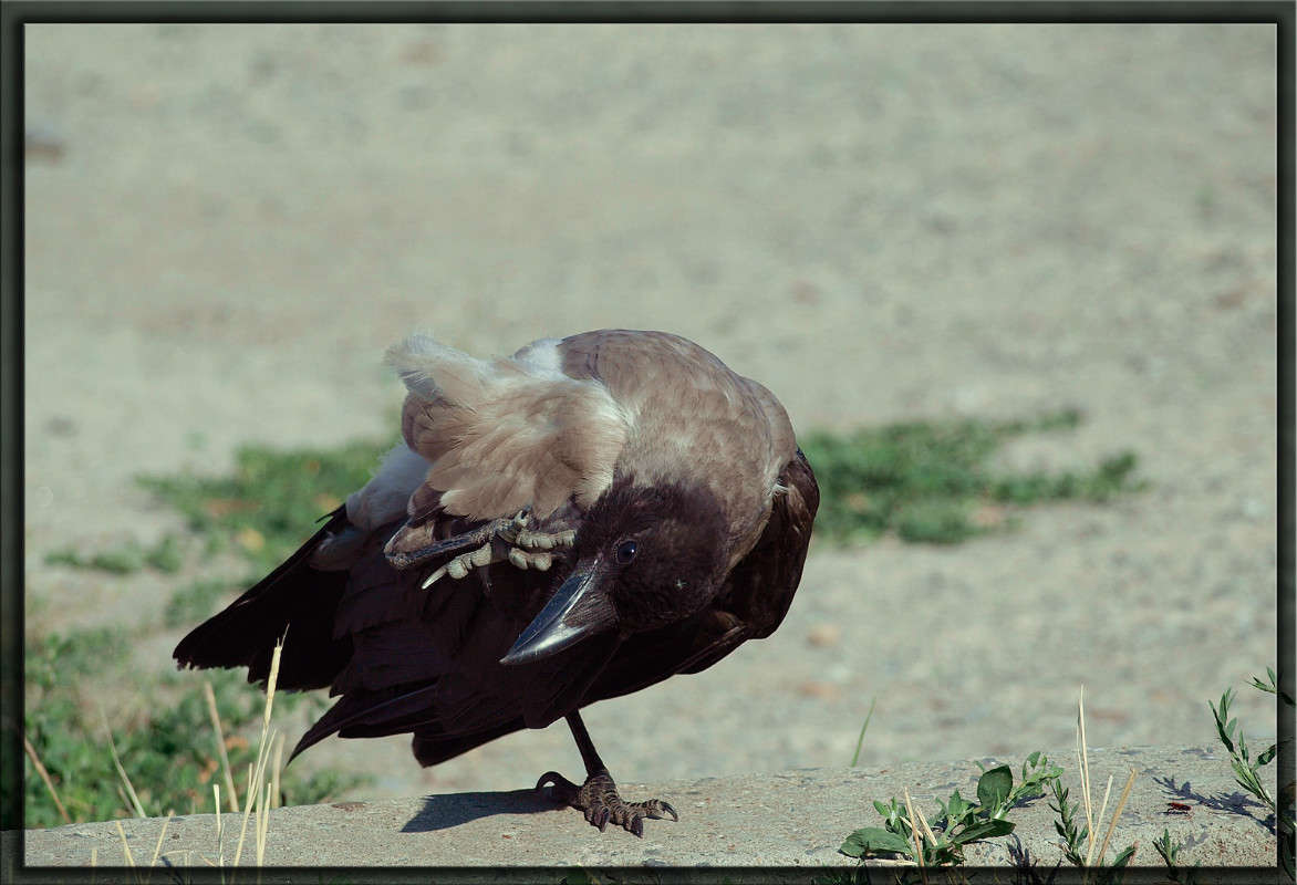 ����� �� ���� ����� ������  �� PhotoGeek.ru #�������� ���