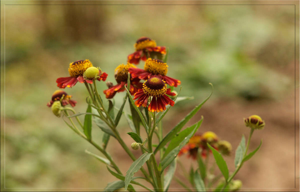 ������ ������ ����� ������  �� PhotoGeek.ru #������ ��� �������